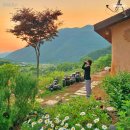 산포별장 이미지