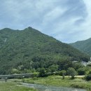 원시스템 | [강원 정선] 산림욕 힐링 리조트 파인포레스트 정선알파인리조트 디럭스 스위트룸 후기