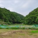 홍천군서면모곡보건진료소 이미지