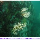 인구 리조트 이미지