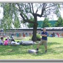 일영낚시터 이미지