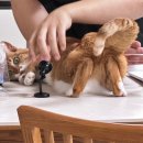 일류세탁 | [임신 30주차] 출산용품 준비, 본격 시작!?