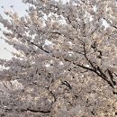 소리천로(2) 이미지