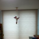 우림세탁 이미지
