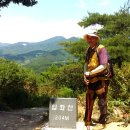 입화산참살이숲 이미지