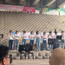 경기도 하남 덕풍천 당정뜰 벚꽃길 추천 주차장 반려견 정보