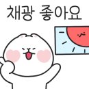 엄지1공인중개사사무소 이미지