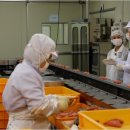 일상의 각별한 기행 이미지