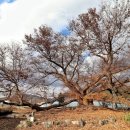 신포마을 이미지