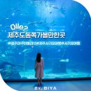 대천동 문화1 어린이공원 | 제주도 동쪽 가볼만한곳 제주 동쪽 가족여행