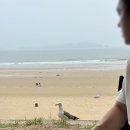 드림펜션1 | 태안바다드림캠핑장 1박후기 :: 캠핑과 펜션을 동시에, 오션뷰존 후기