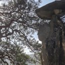 법흥사징효국사부도 | 법흥사 적멸보궁 성지순례