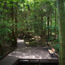 서귀포자연휴양림 이미지