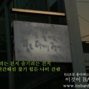 나비도꽃이었다 이미지