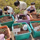 텃밭가꾸기 이미지