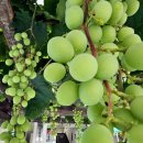 중흥2동행정복지센터 이미지