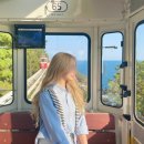 해운대관광안내소 | 해운대 블루라인파크 부산 스카이캡슐 해변열차 할인 예약