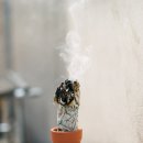 자유랜드 이미지