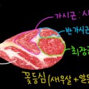 전국목장연합 이미지