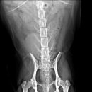 테크노연합 동물병원 이미지