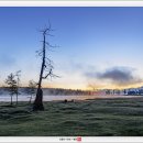 호수의아침 이미지