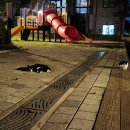 암산어린이공원 네이버블로그