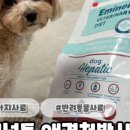 (주)에미넌트 이미지