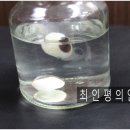 최인평의안 네이버블로그