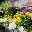 구암동080 이미지