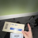 [일상] 벚꽃이 피면 중간고사가 왔다는 것. ✌️