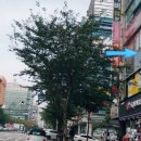 대암마트 이미지