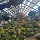 마법의 정원 이미지