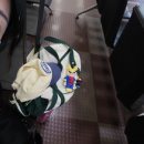 엔클라우드24(주) | 도쿄 사박일기_ 일본간호사국시 치고 왔읍니다