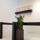 독한마캣 이미지