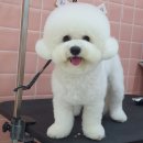 남영복사 이미지