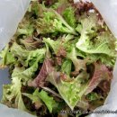 산촌사랑 이미지