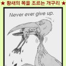 황새목 이미지