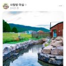 추억의사랑방