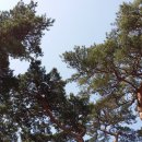 감포시장 이미지