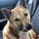 어서타개 이미지