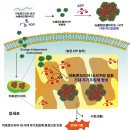 좋은가정의학과의원 이미지
