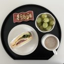 카페138일 | 육아일기 : 생후 132~138일차(4개월차 아기랑 여수 아쿠아플라넷)