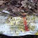 선우산림기술사사무소