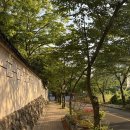 진현로(북) 네이버블로그