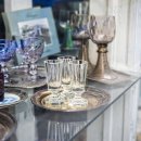 STAY PET SHOP 이미지