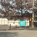 아산만로 | 아산 놀거리 추천 실내 데이트로 좋은 아산 세계꽃식물원 방문후기