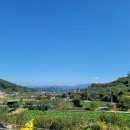 상룡농장 이미지