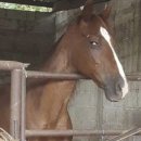 하루 PC방 이미지