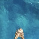 트레벨동물병원 이미지