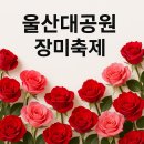 장미축제 이미지